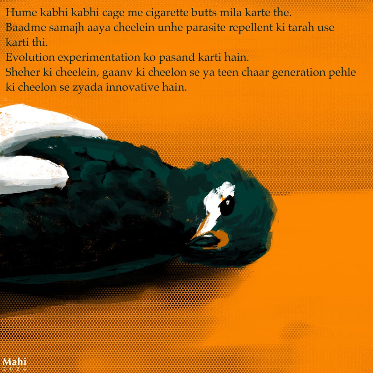 Close-up of an injured Black Kite — quote about kites using cigarette butts as parasite repellent